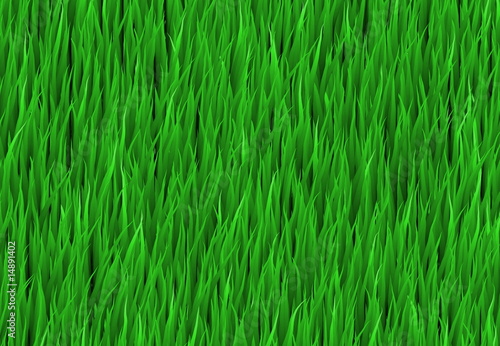 Green Grass Patch Background
