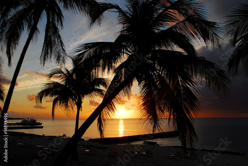 Photography sunset at tropical island cuba