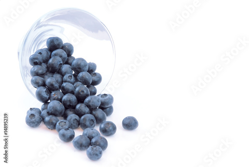 blueberries Fototapet