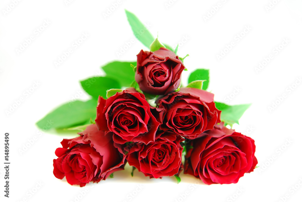 roses 1 roses 1