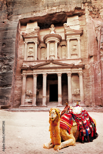 camel in front of treasury petra jordan