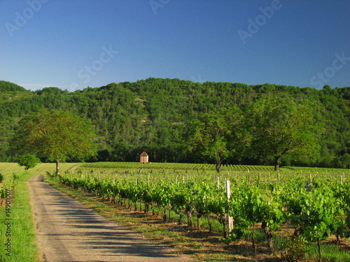 Tapety artystyczne Vallée du Lot , Quercy