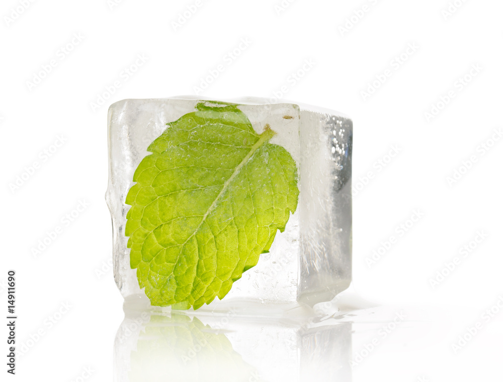 foglia di menta congelata Stock Photo | Adobe Stock