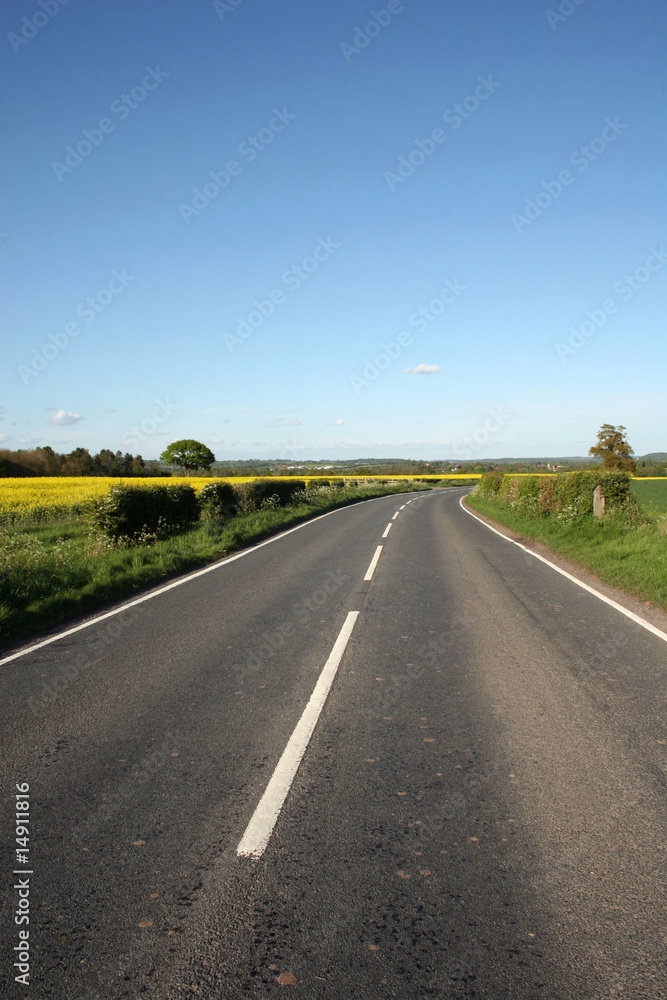 Fototapeta premium Take Me Home Country Road