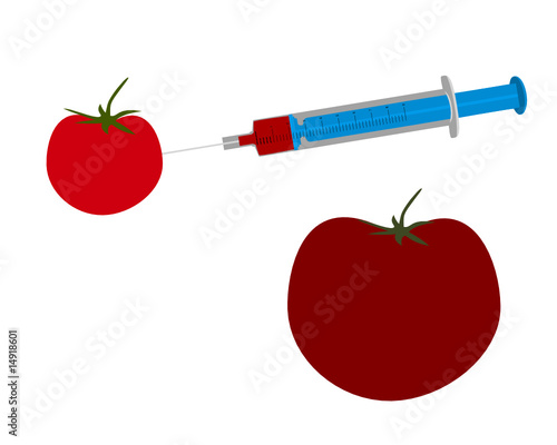 Gentechnisch veränderte Tomate
