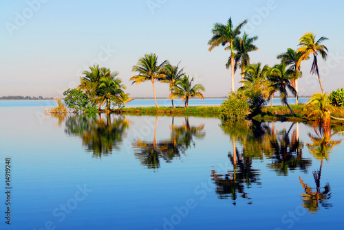 palm reflection cuba © dzain