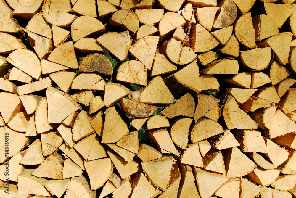 wood wood