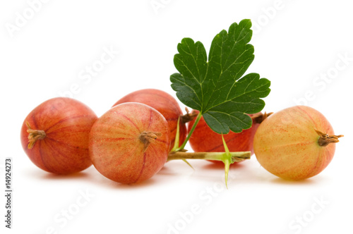 bio fresh gooseberry on white background