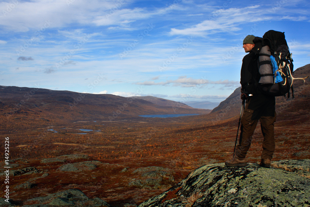 Lookout into the wild