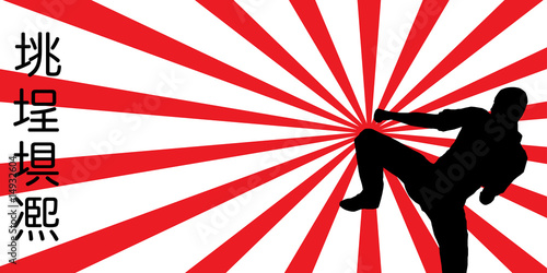 kung fu