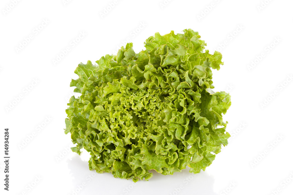 Ripe lettuce isolated in a white background Ripe lettuce isolated in a white background