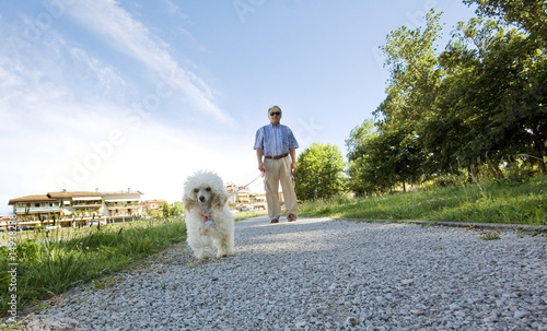 uomo e cagnolino a passeggio nel parco photo