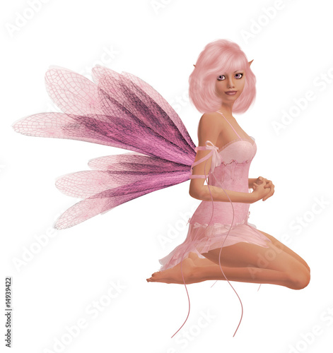 Pink Fairy