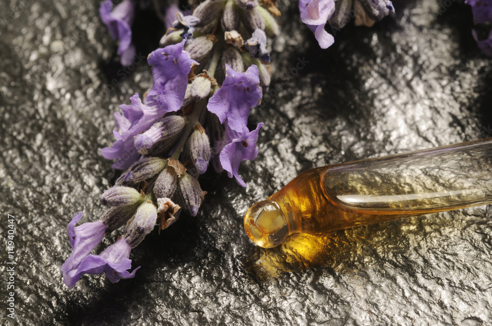 Obraz premium Essenza di lavanda