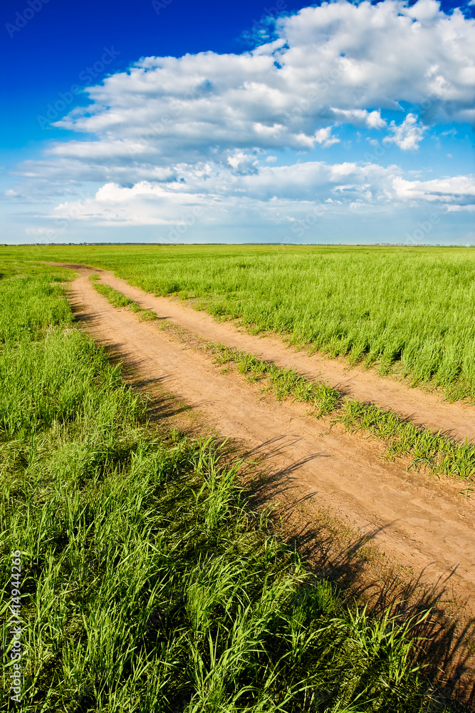 country road in the field