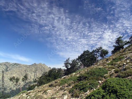Col di Vergio, Corsica photo