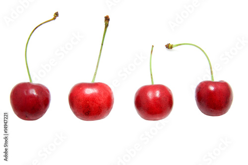 four red cherries in a row  isolated on white background