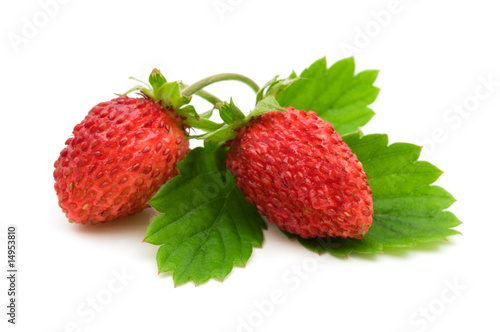 wild strawberries on white background