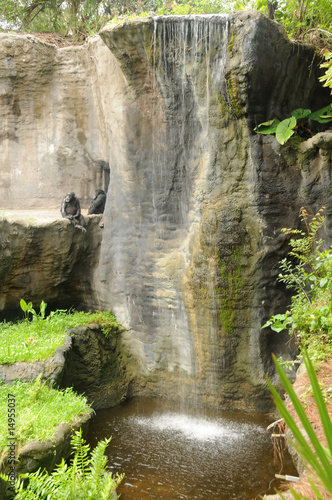 Vászonkép Two chimps by a waterfall