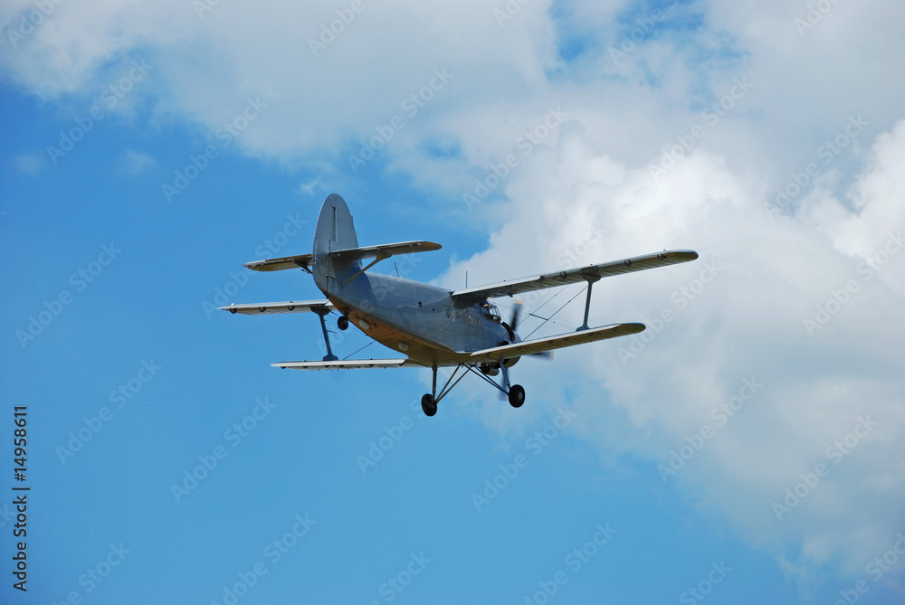Obraz premium plane I