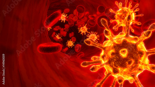 Virus and red blood cell