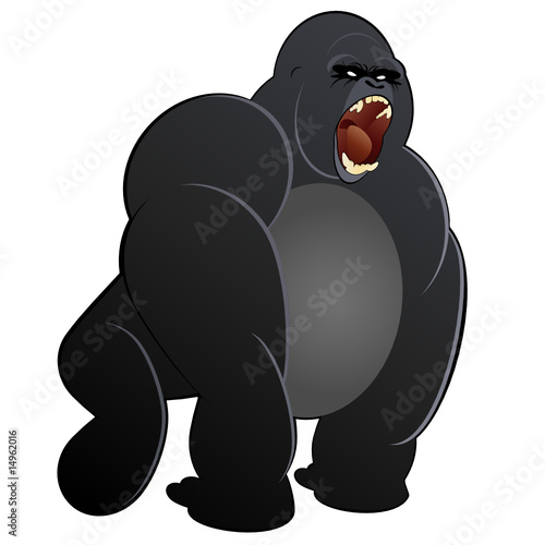 gorilla affe aggressiv brüllen
