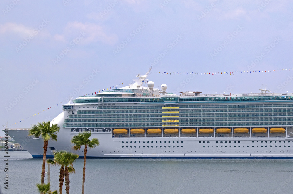 Obraz premium Large modern cruise ship