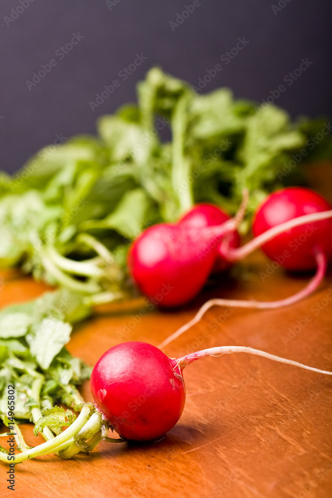 radish radish