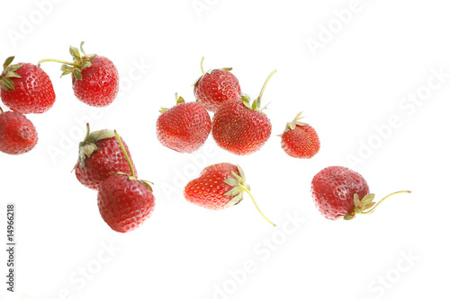 strawberry close-up photo