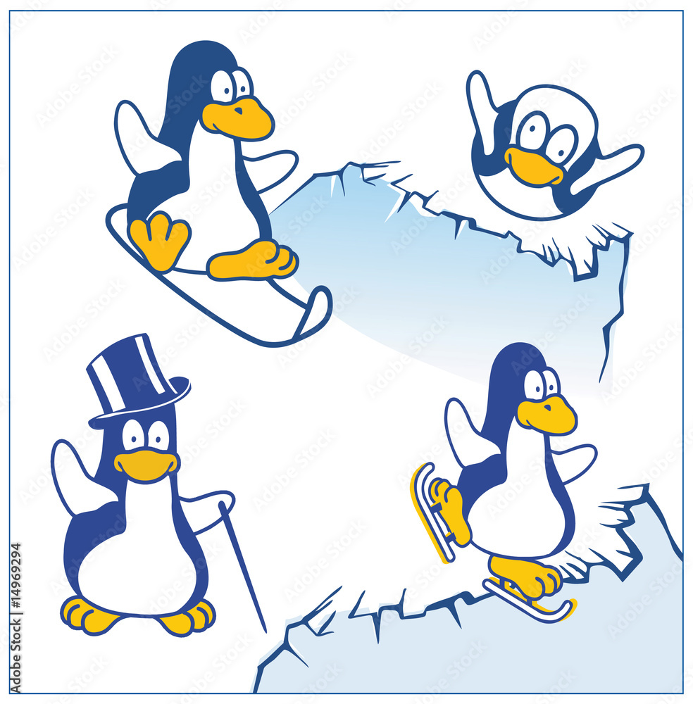 Obraz premium vector penguin