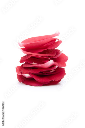 Rosenblätter
