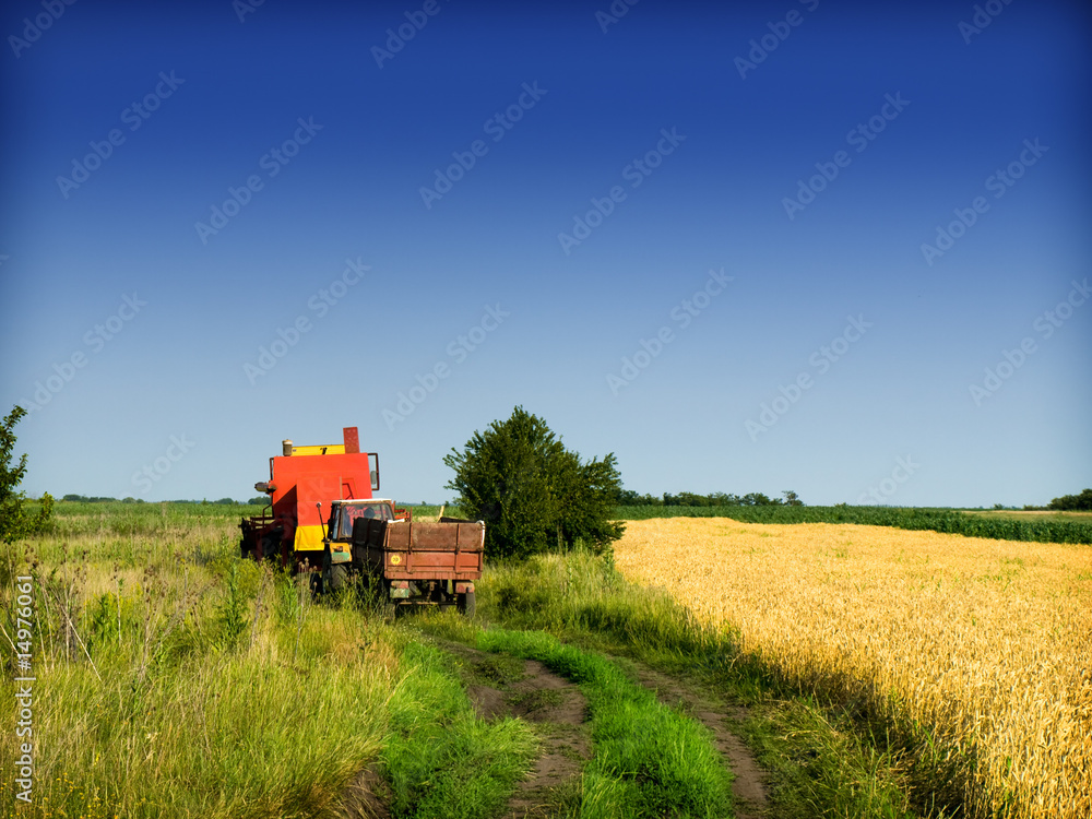 combine and tractor in the field combine and tractor in the field