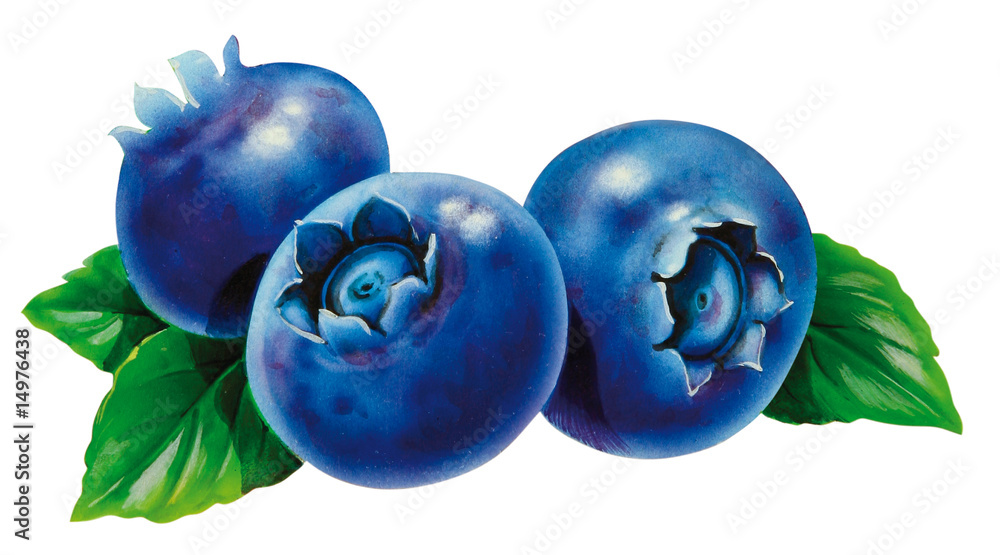 Obraz premium Blaubeeren