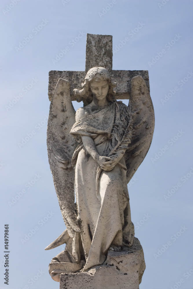 Obraz premium Angel´s statue in public cemetery.