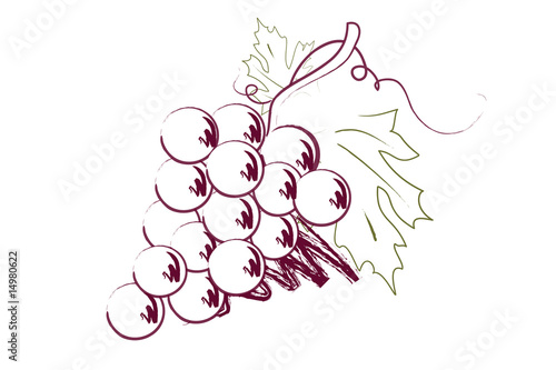 Grappolo d'uva rossa