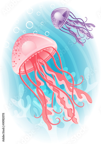 jellyfish