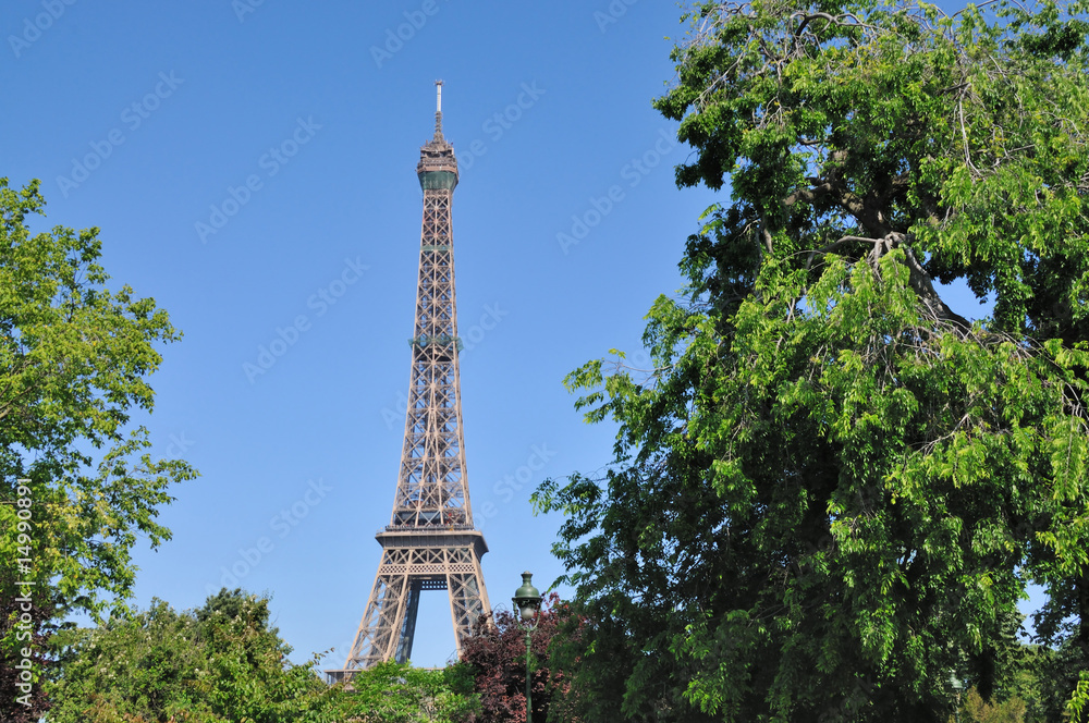 Tour Eiffel, vue d'un jardin - Paris