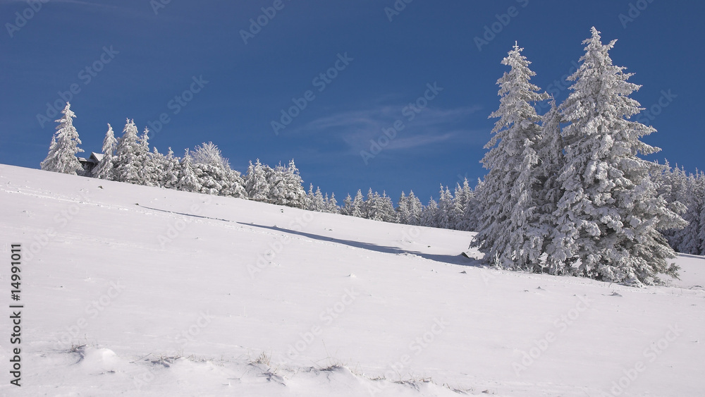 Schneelandschaft