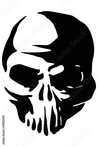 skull