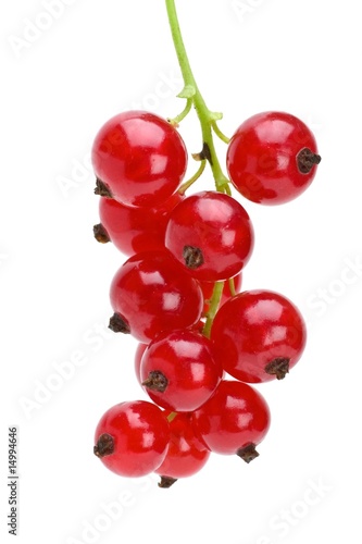 Photo Some redcurrant berries