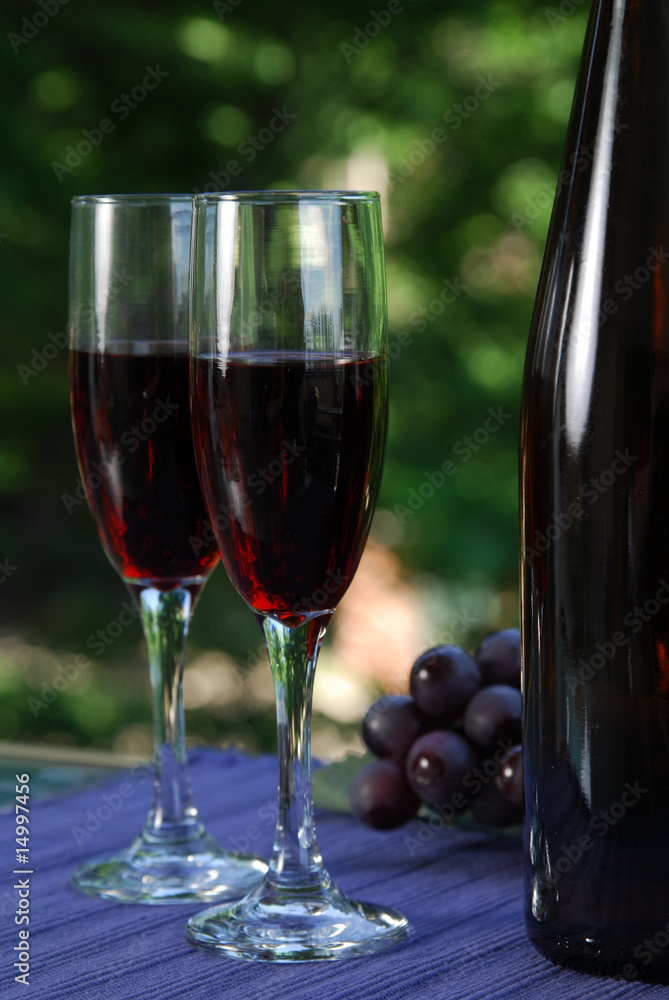 Naklejka premium Wine Vinyards