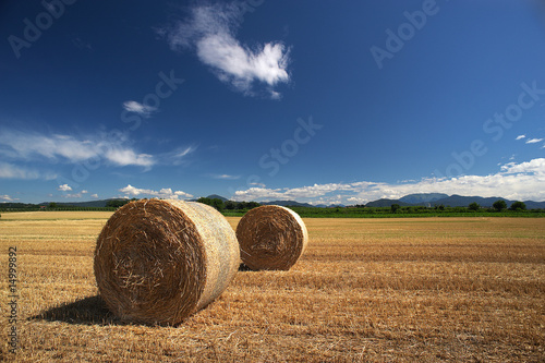 balle di fieno photo