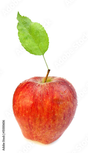 Apple perfect red with green leaf