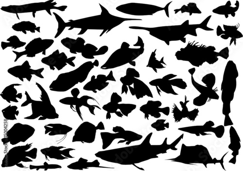 fish silhouettes large collection