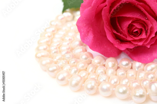 Rose and pearls