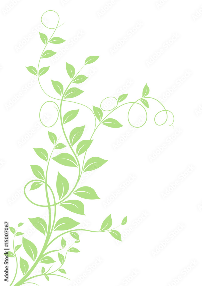 vecteur série - plante à feuilles isolé sur fond blanc vecteur série - plante à feuilles isolé sur fond blanc