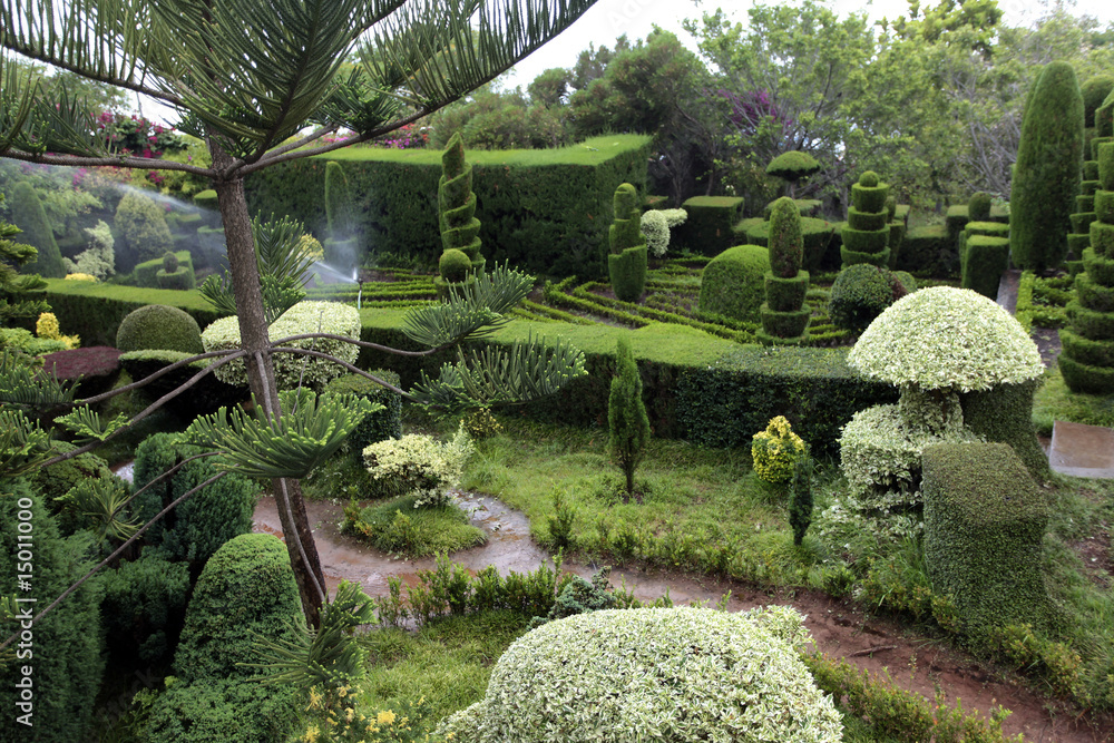 Jardin botanique de Funchal - Madère - Portugal