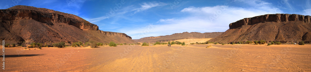 Panoramique africain