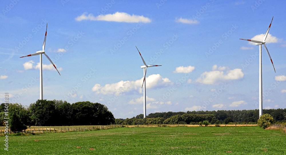 Fototapeta premium Windräder