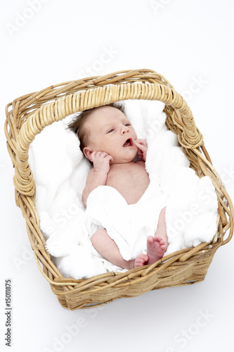 Newborn Baby In Basket